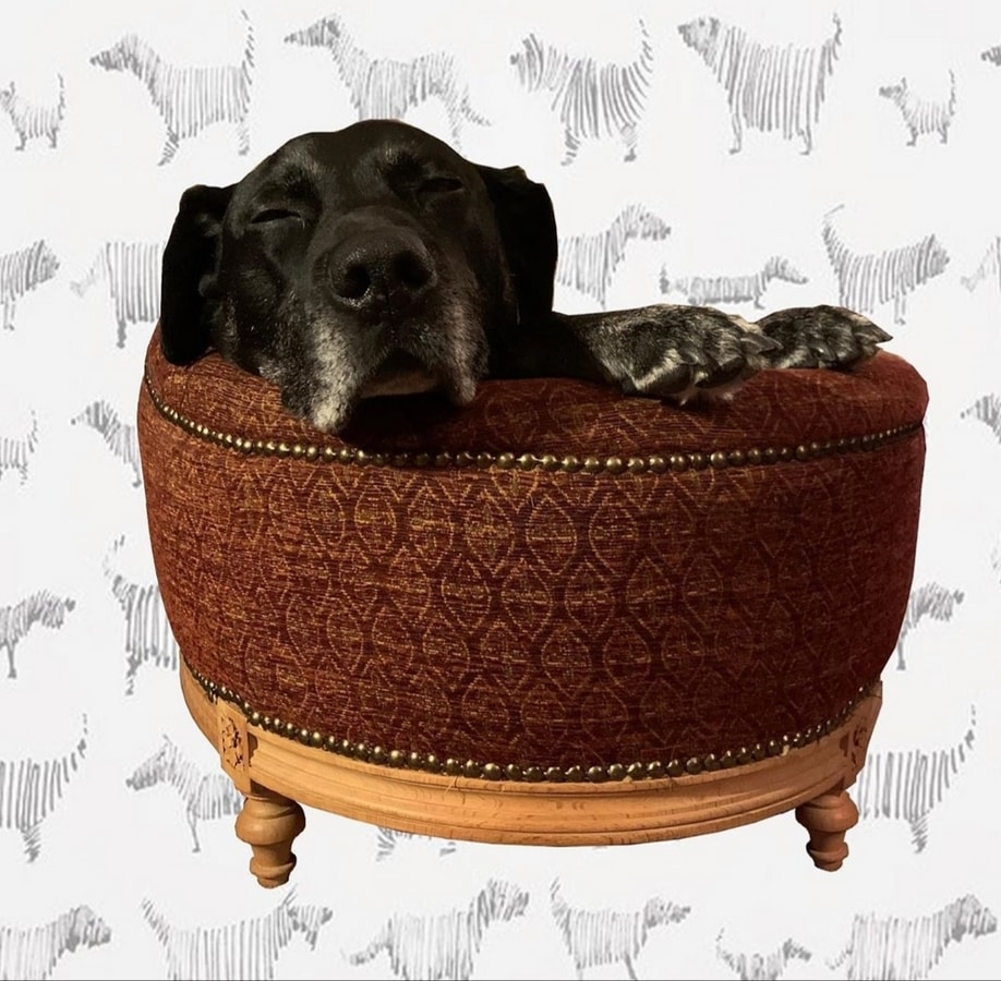 285 DOG BED, Padded dog lounger in classic luxury style
